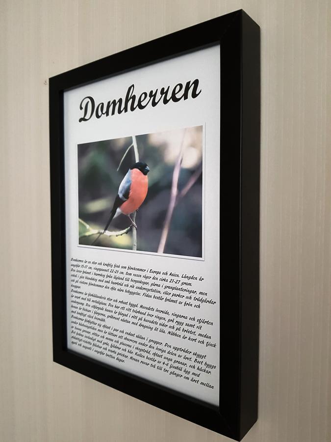 Takern Vandrarhem Svanshals Екстериор снимка
