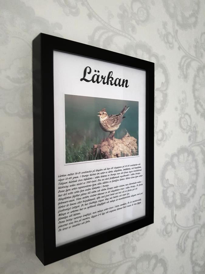 Takern Vandrarhem Svanshals Екстериор снимка